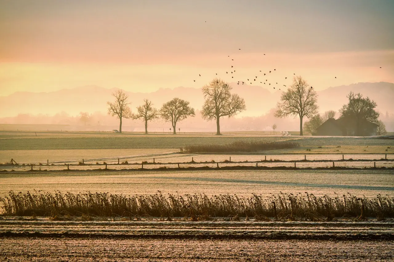 pasture-5861901_1280