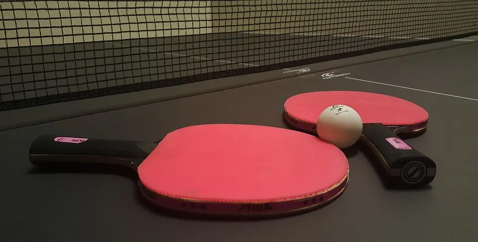 ping-pong-1205609_960_720