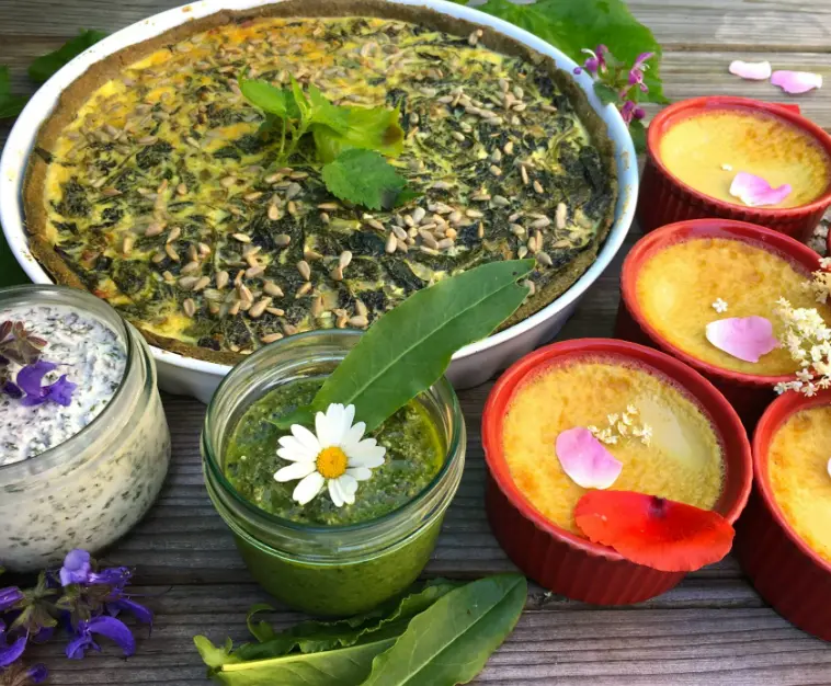 cuisine plantes sauvages