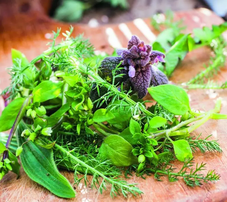 plantes sauvages