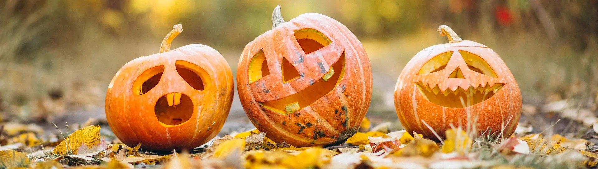 pumpkin-ga7255c051_1920
