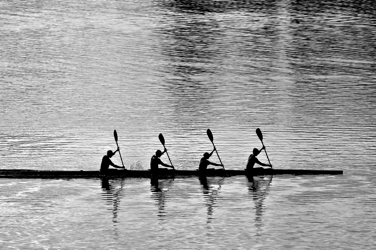rowing-8135184_1280