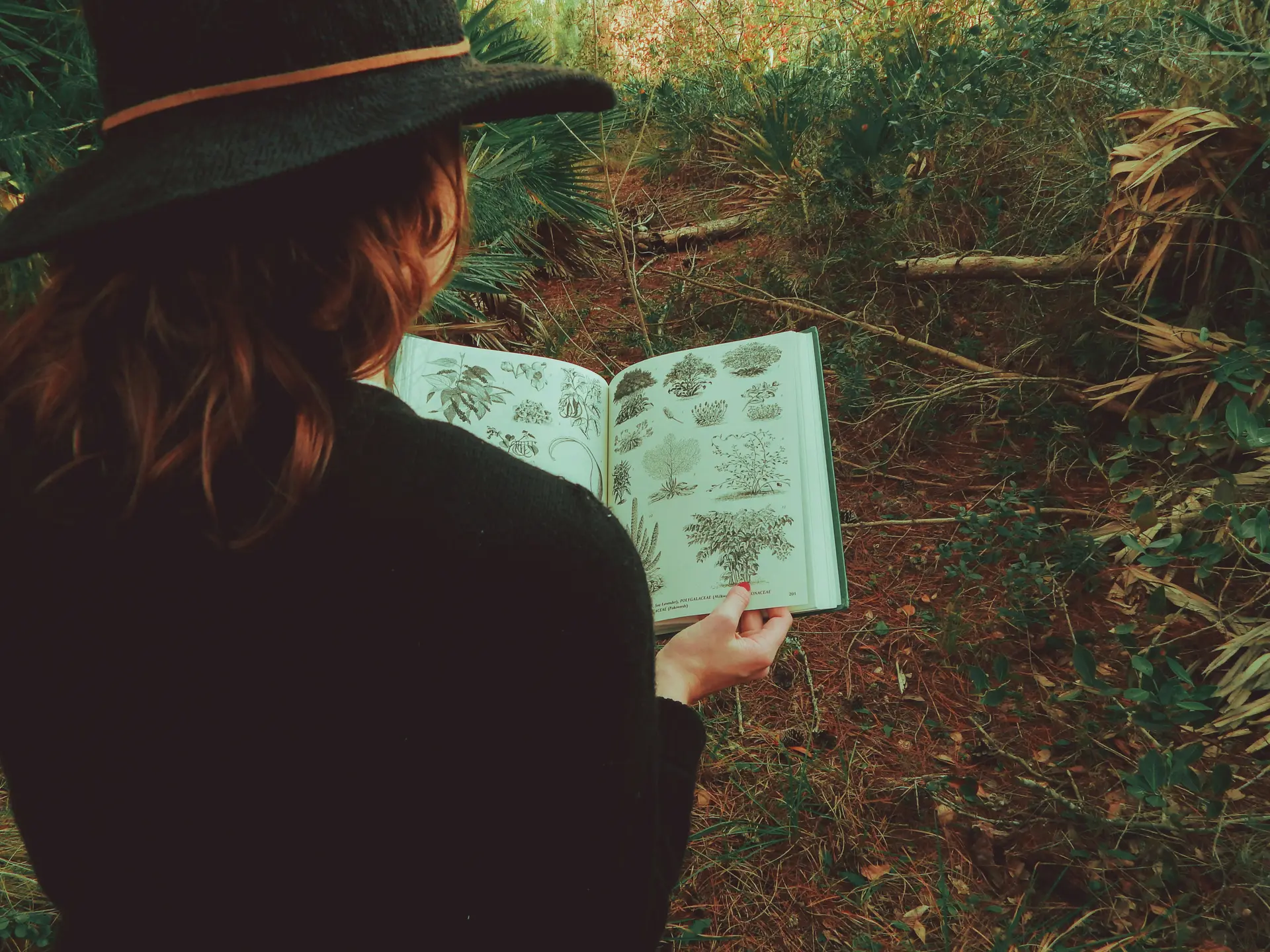 sarah-brown-8uk33AyGB10-unsplash