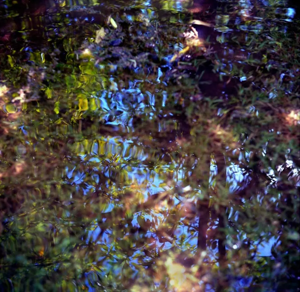 stage Hormone Yoga Therapy®