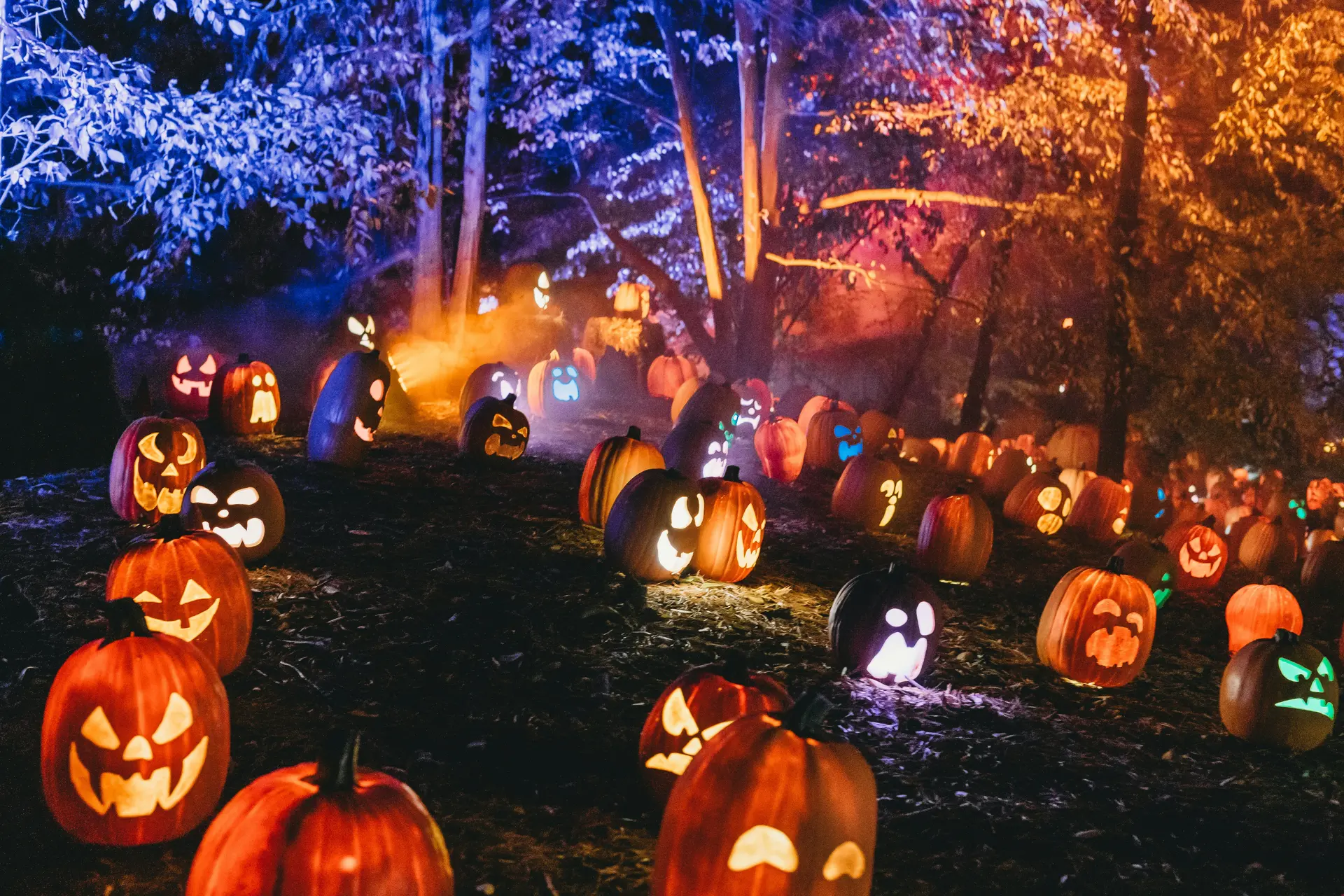 Halloween