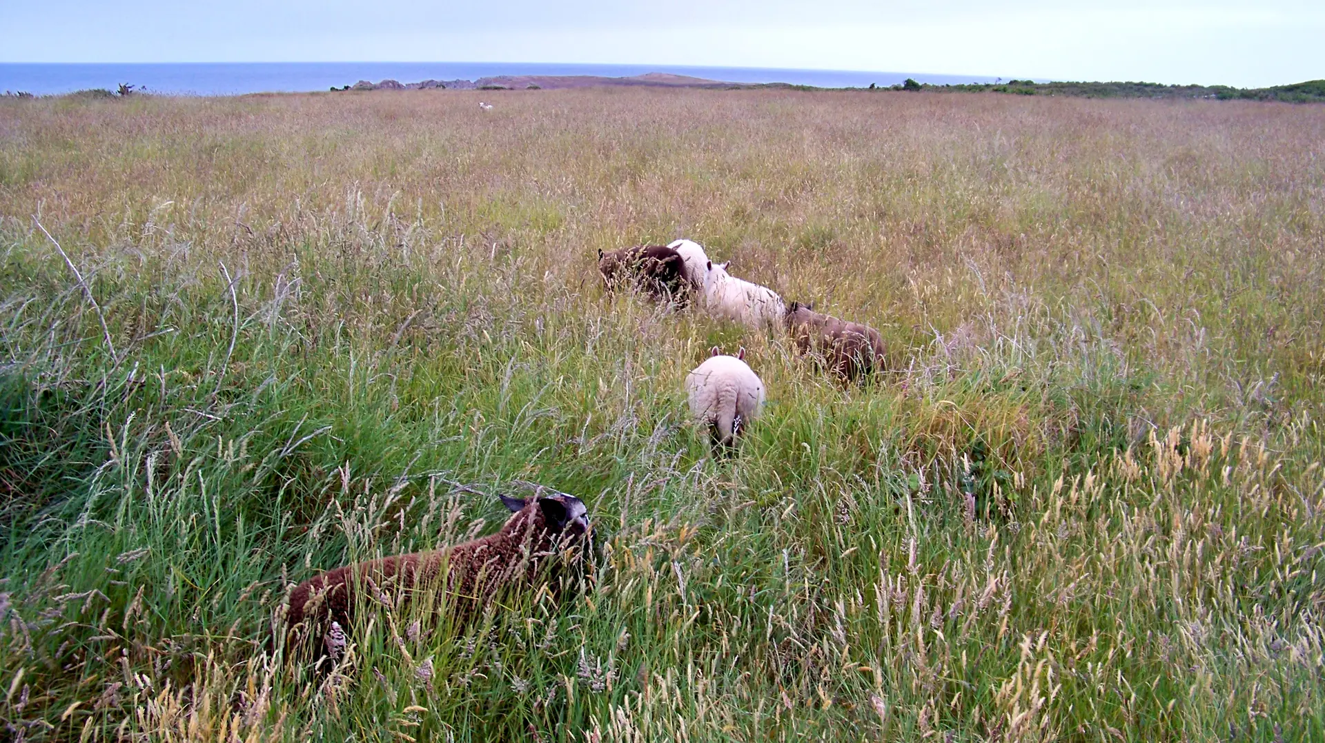 visuel2-FAIRE BANDE-100_7954HD@Isabelle Planche