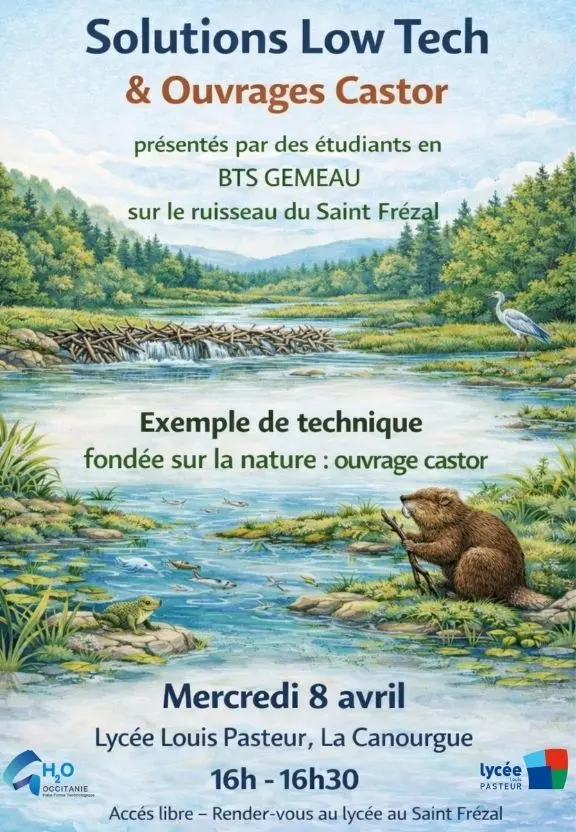 ANIM CASTOR LA CANOURGUE 08042026 - 1