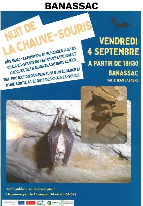 NUIT DE LA CHAUVE SOURIS 04092026 - 1