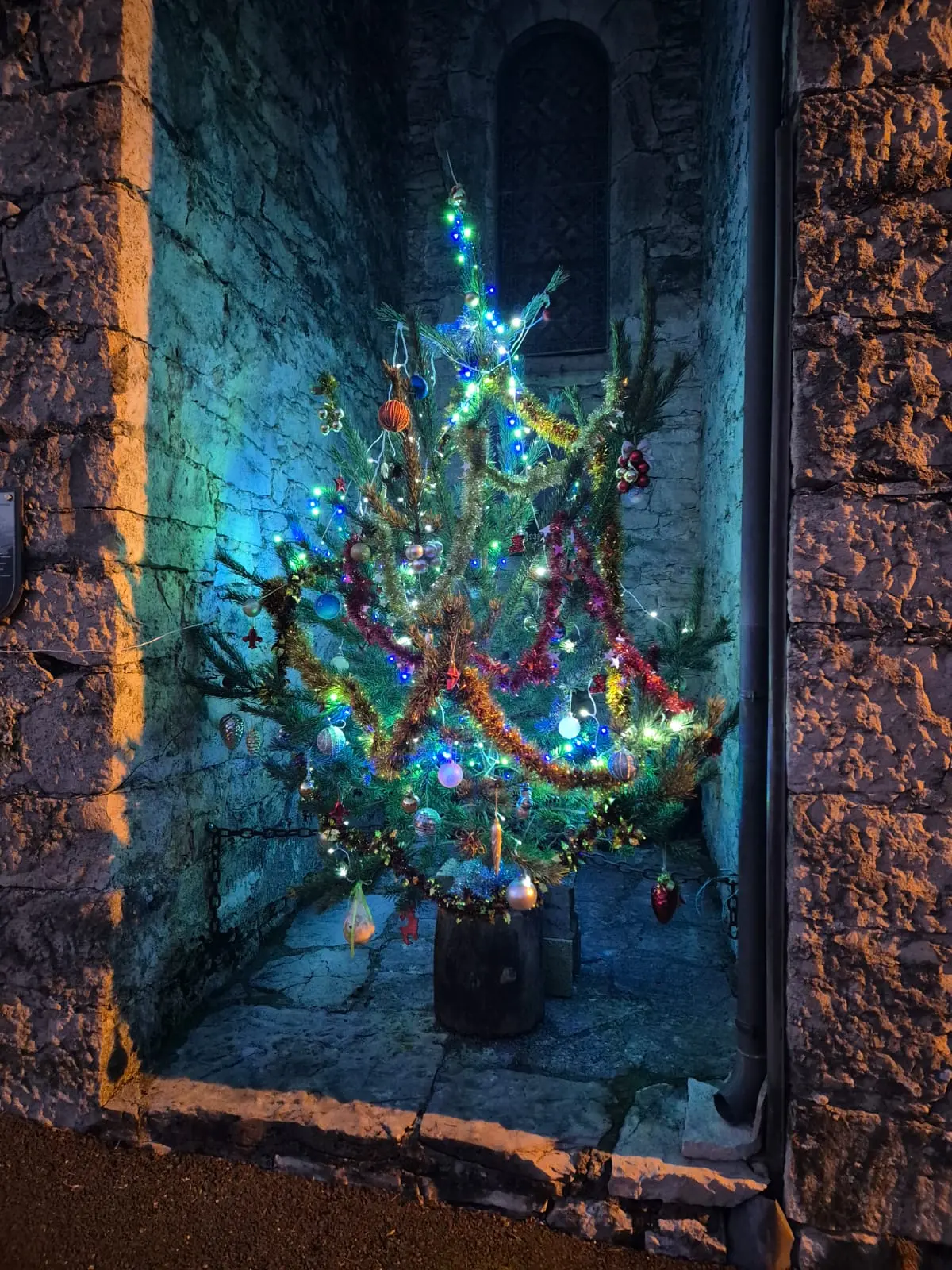 Sapin de l'église de la piguière