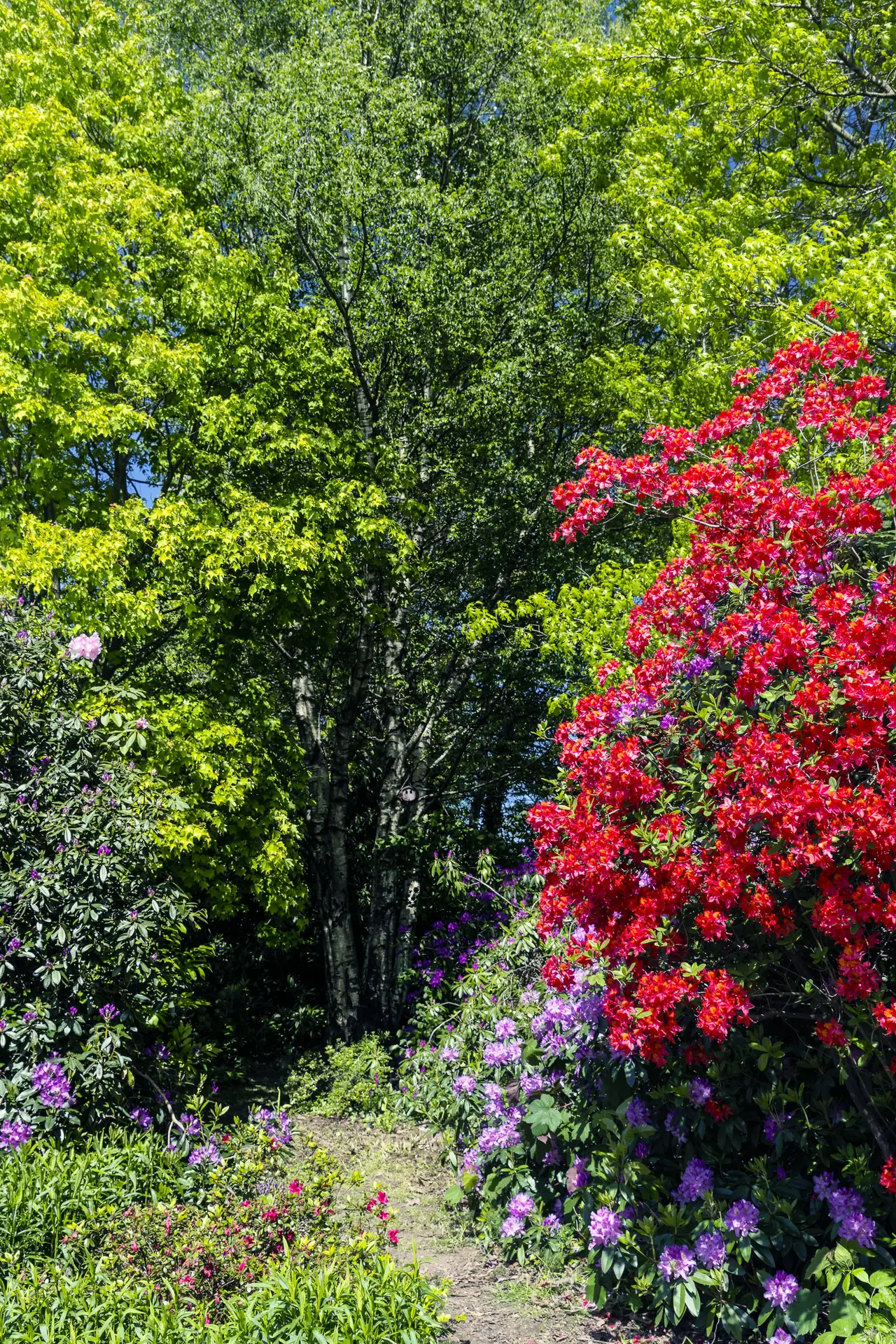 _DSC7808_DxO