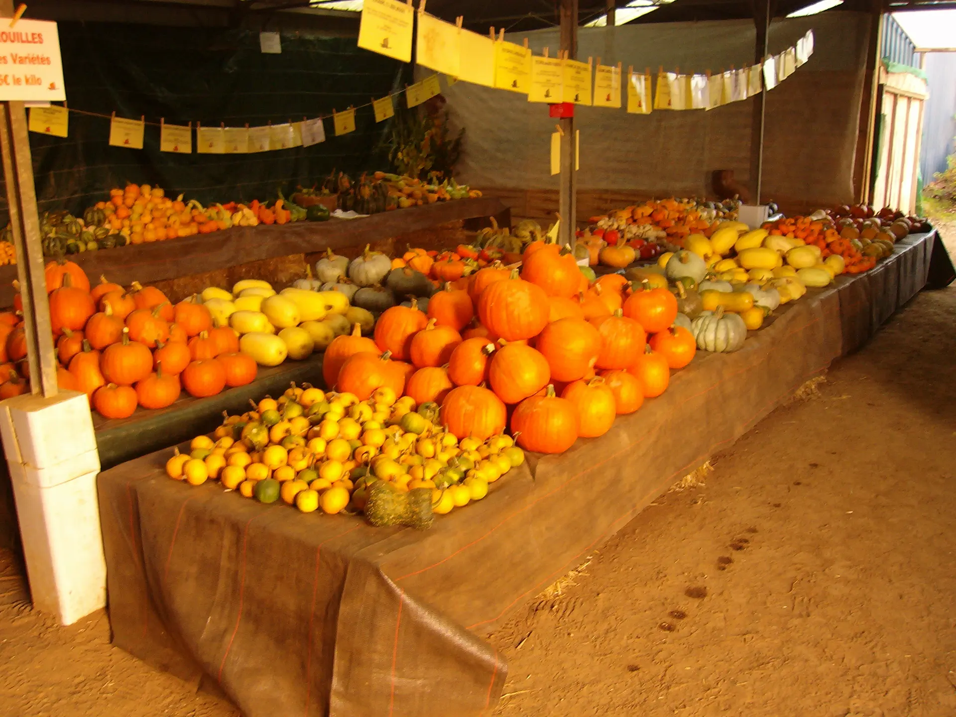 fete-des-citrouilles-jardins-des-renaudies-colombiers-du-plessis-mayenne-53