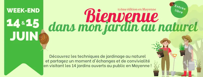 téléchargement