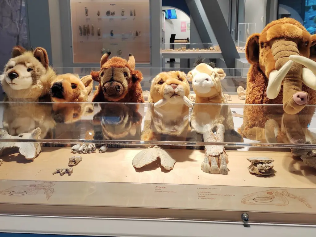 visite-tout-petits