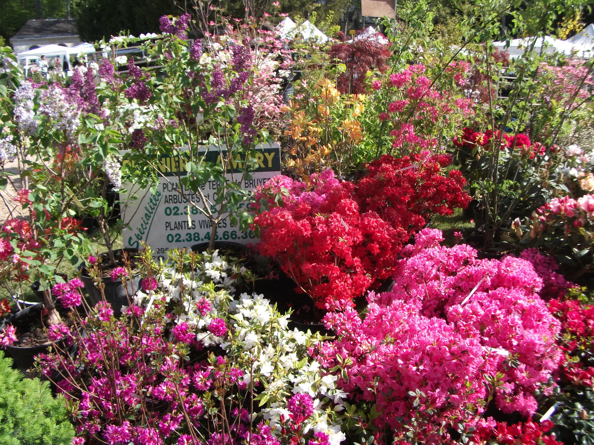 Courtanvaux Côté Jardin 2014 083