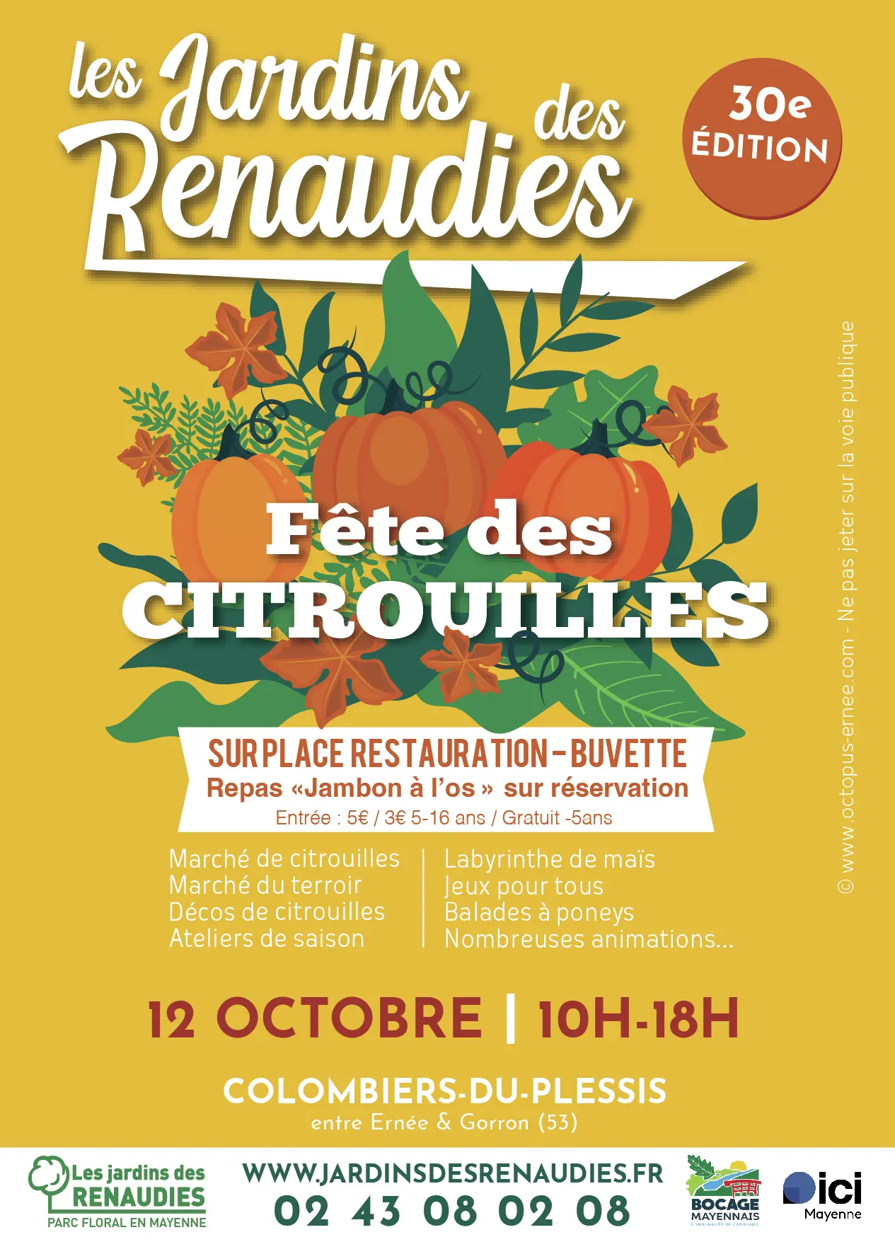 citrouilles 2025