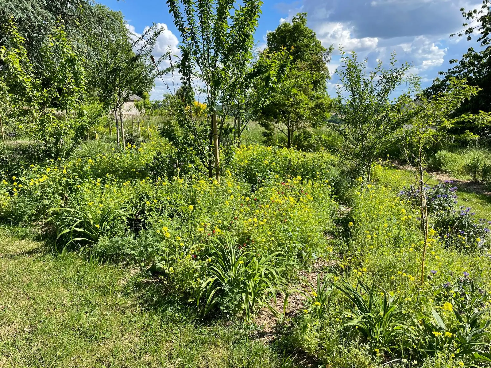 Jardin forêt gourmand de l'Oasis