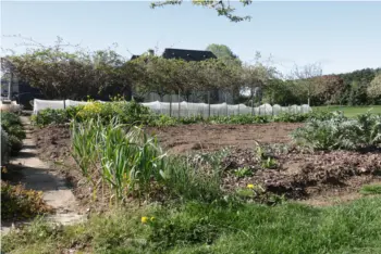 Jardin JACADY à Courcité
