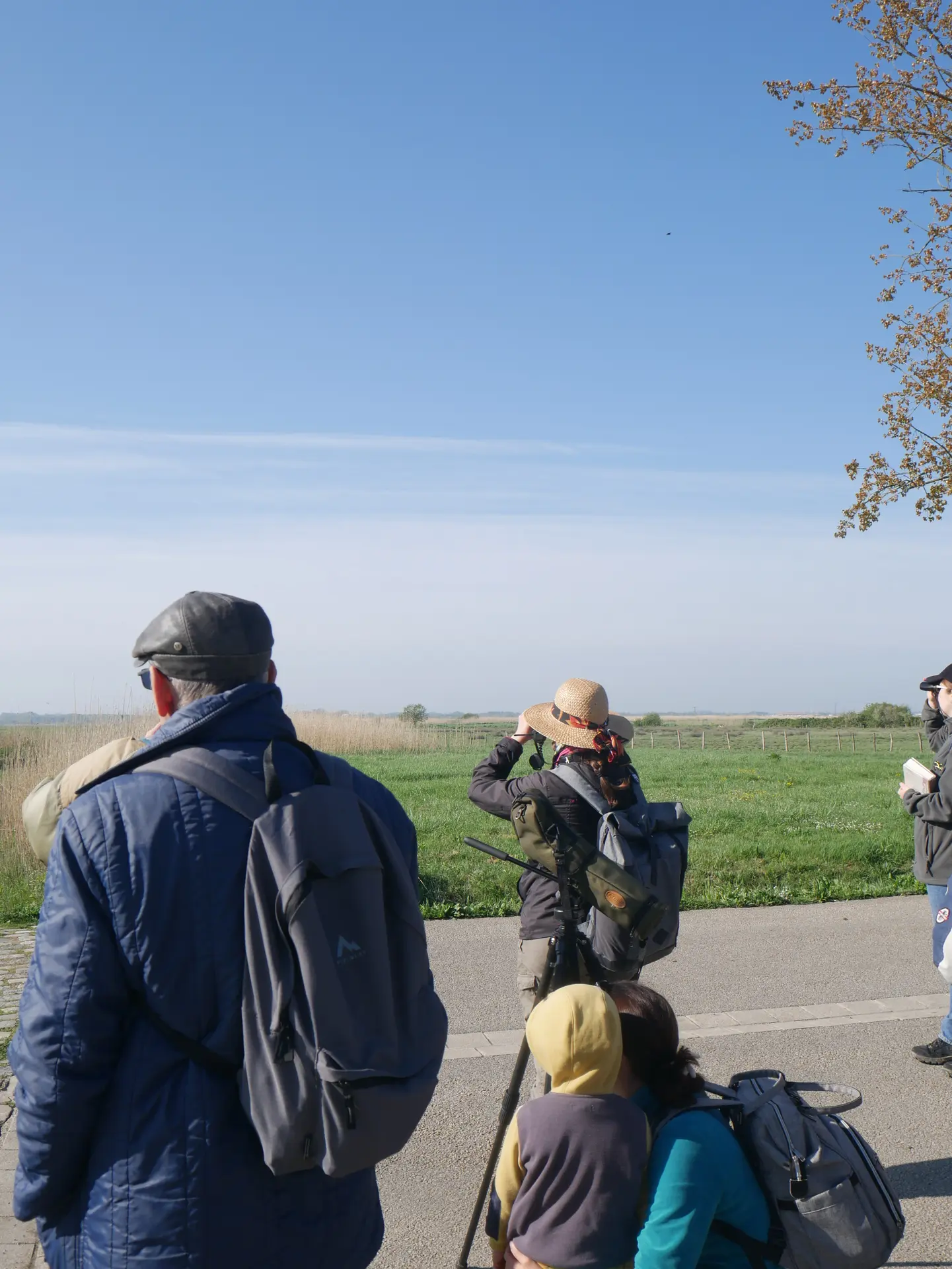 Balade à l'écoute du chant des oiseaux