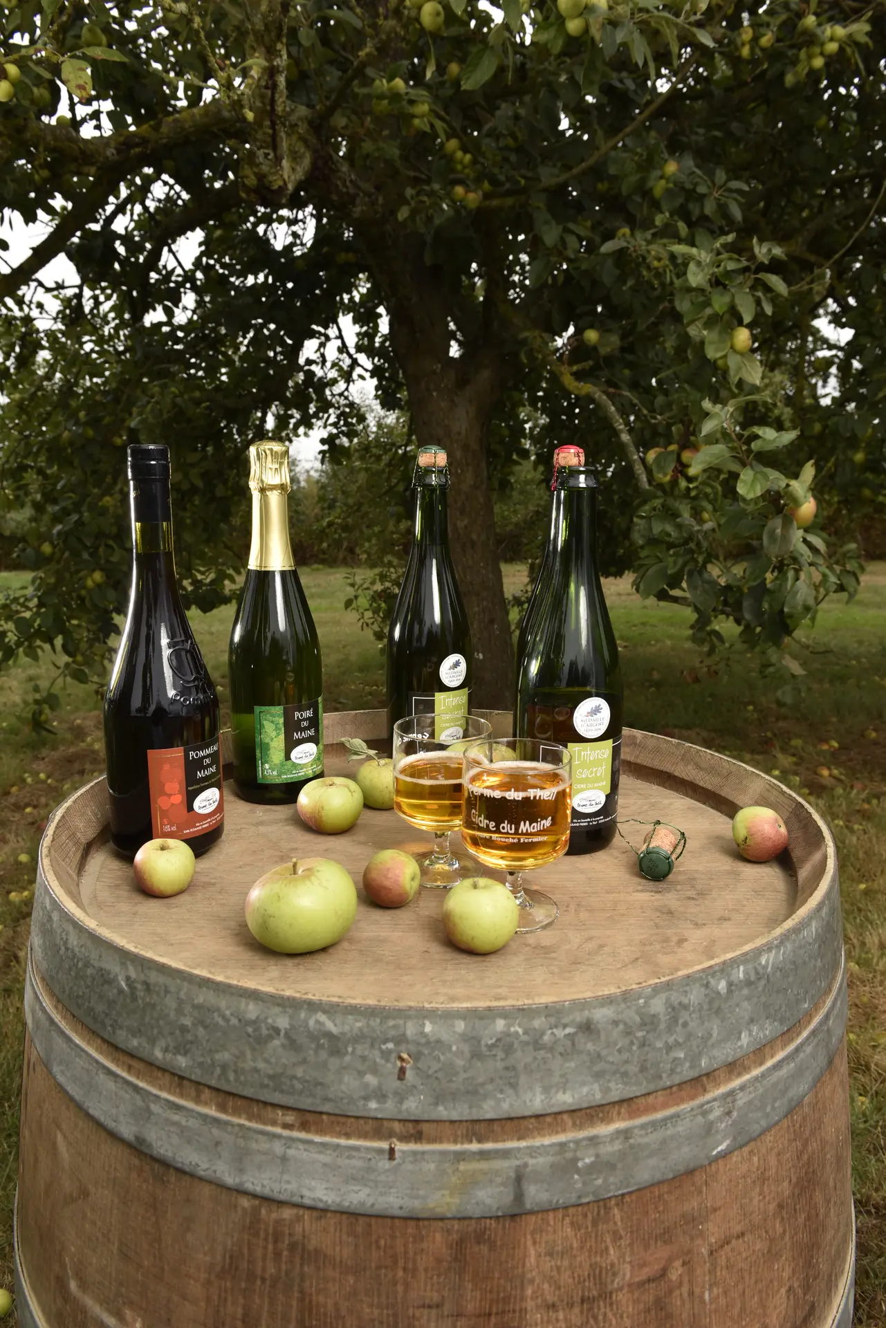 Producteur cidre Ferme du Theil à Andouillé -