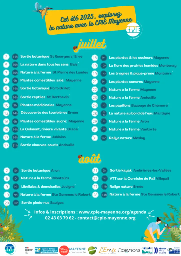 Programme-estival-2025-724x1024