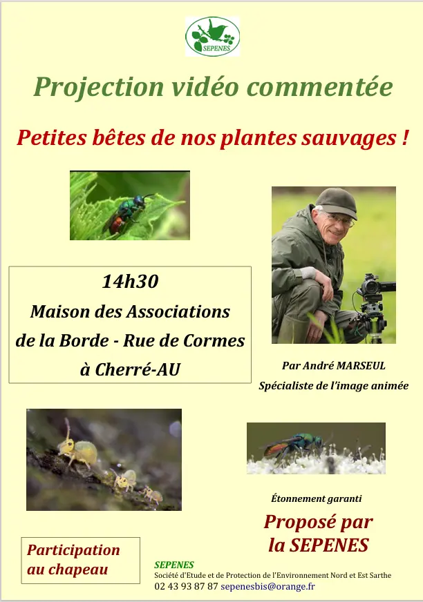 Projection 3 mai