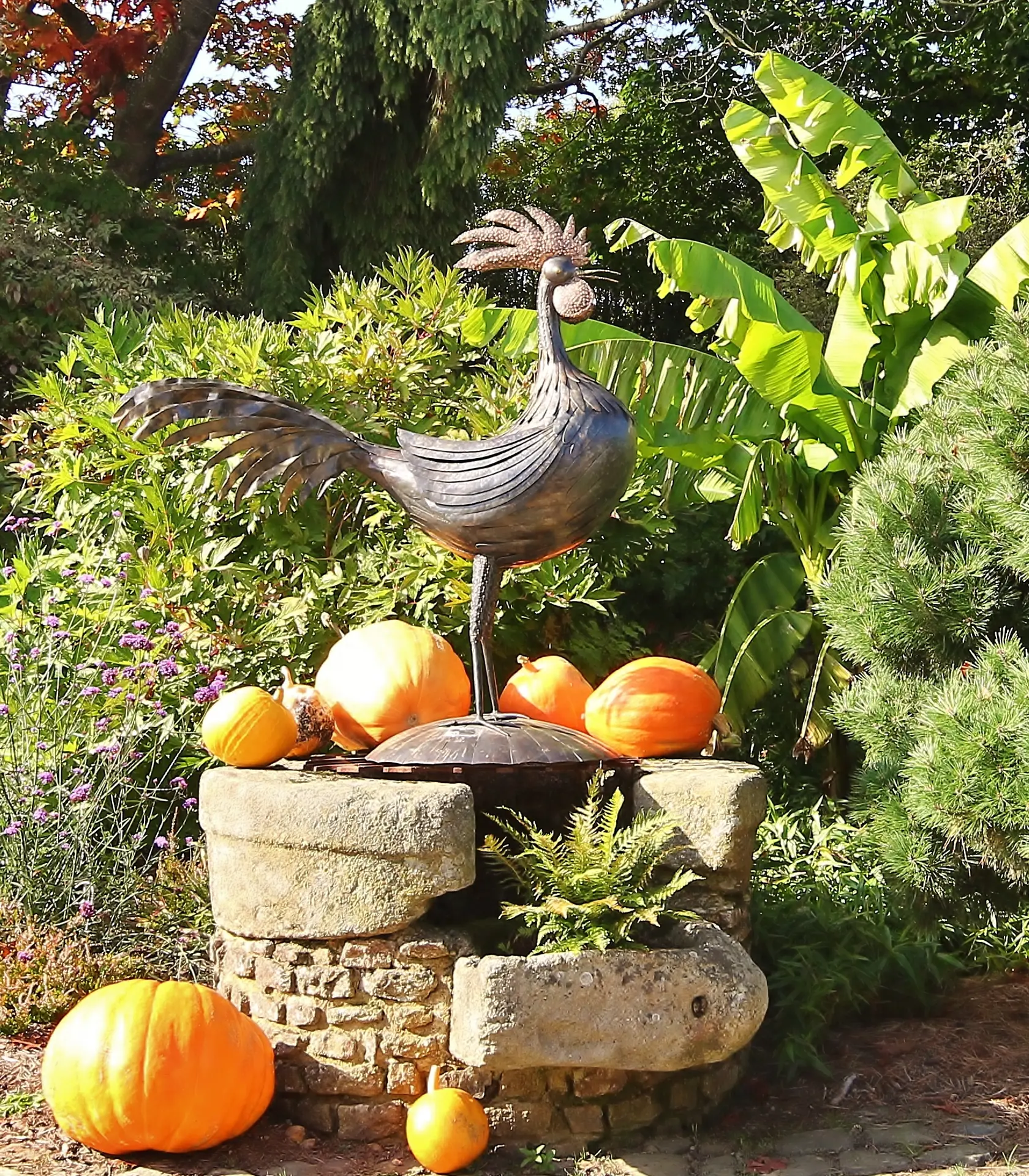Pumpkin Festival cp peter busby (1)