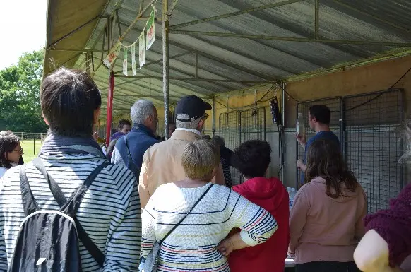 RDV aux jardins - tatin marché
