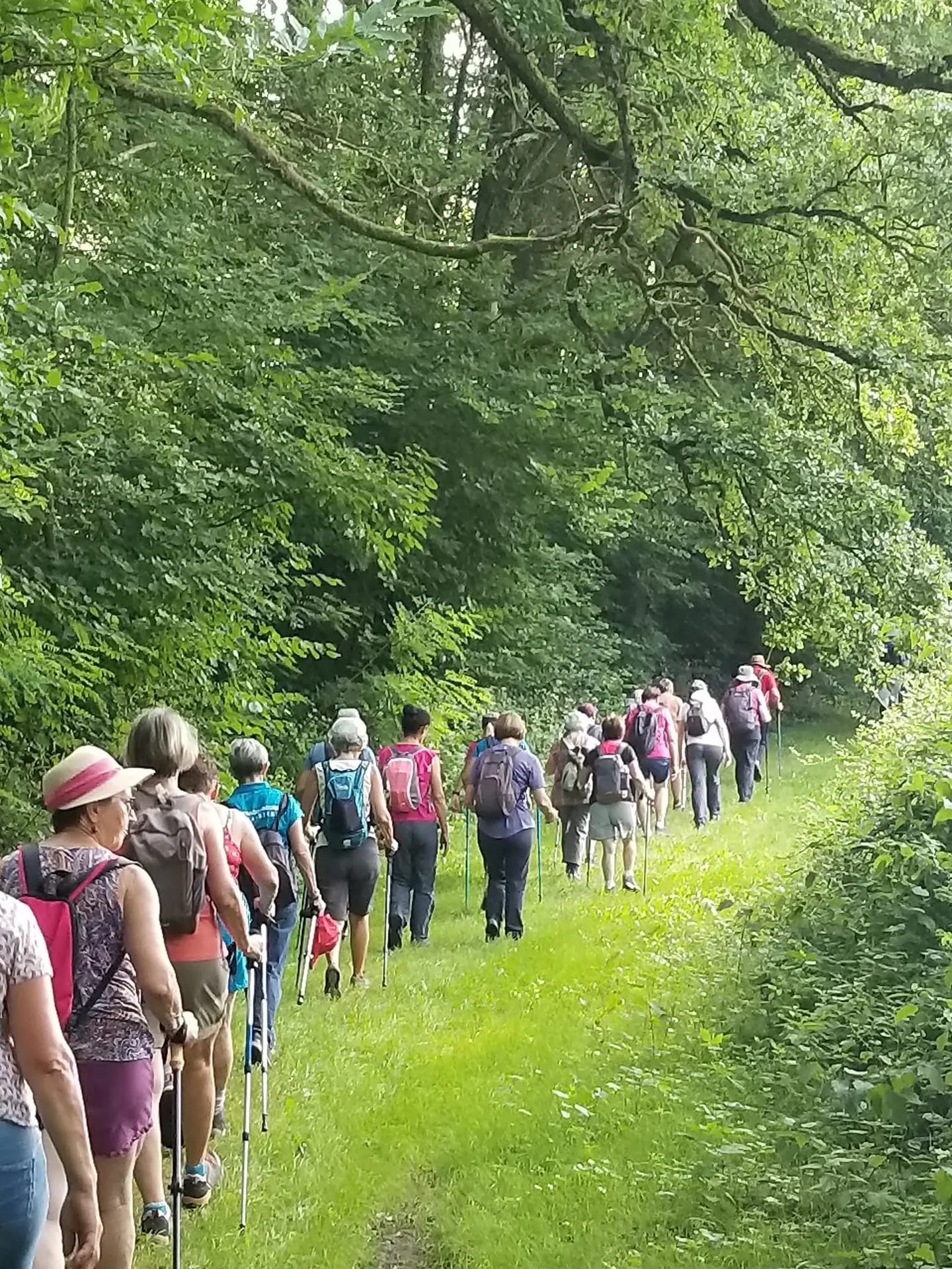 Rando à Semur-en-Vallon