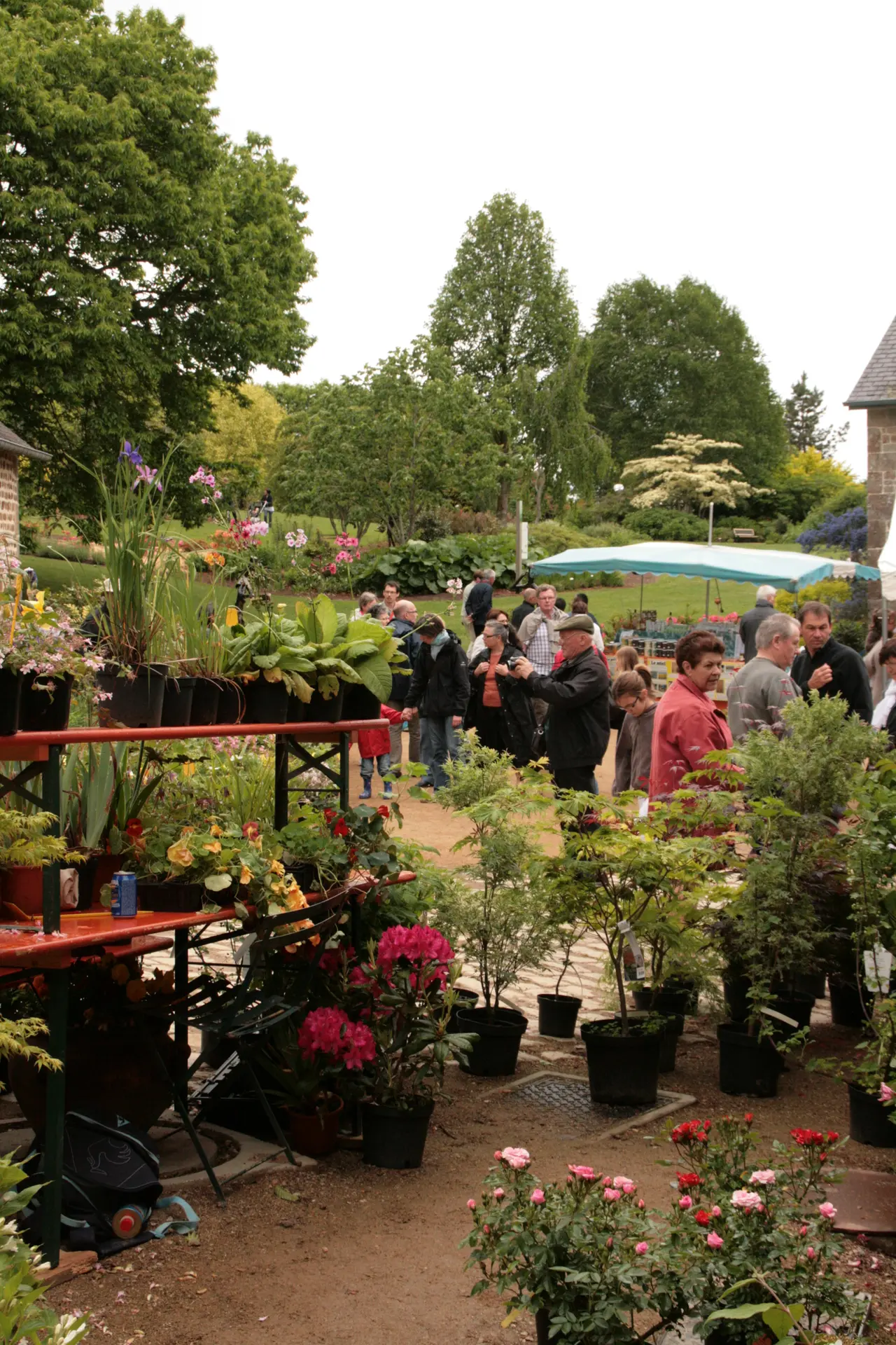 Renaudies Marché Plantes 080511 (48)