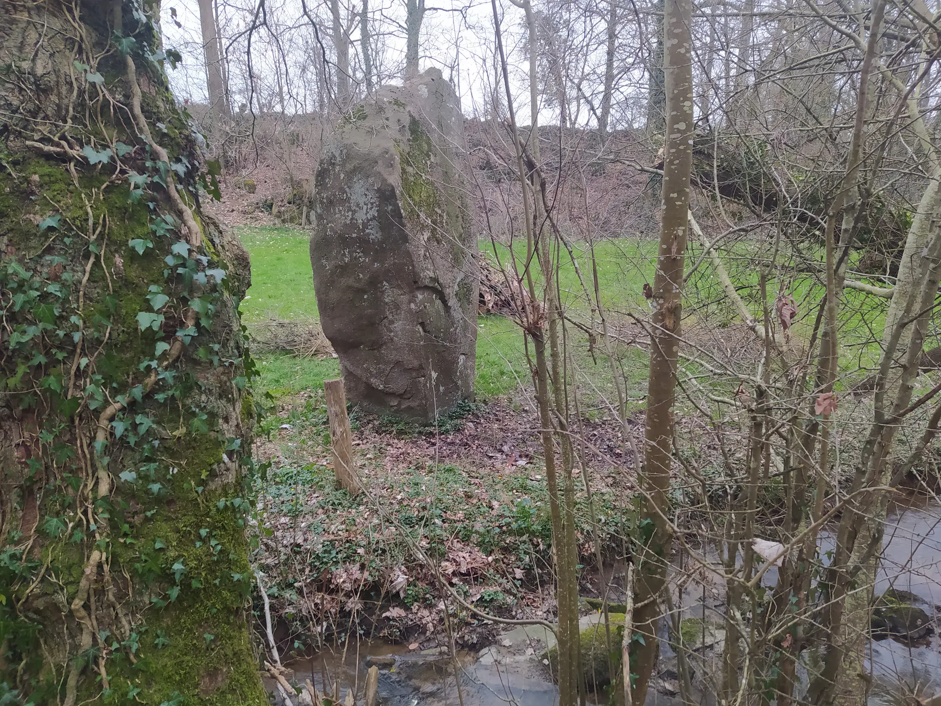 Sentier de la Colmont - Gorron 53 © Bocage Mayennais -1