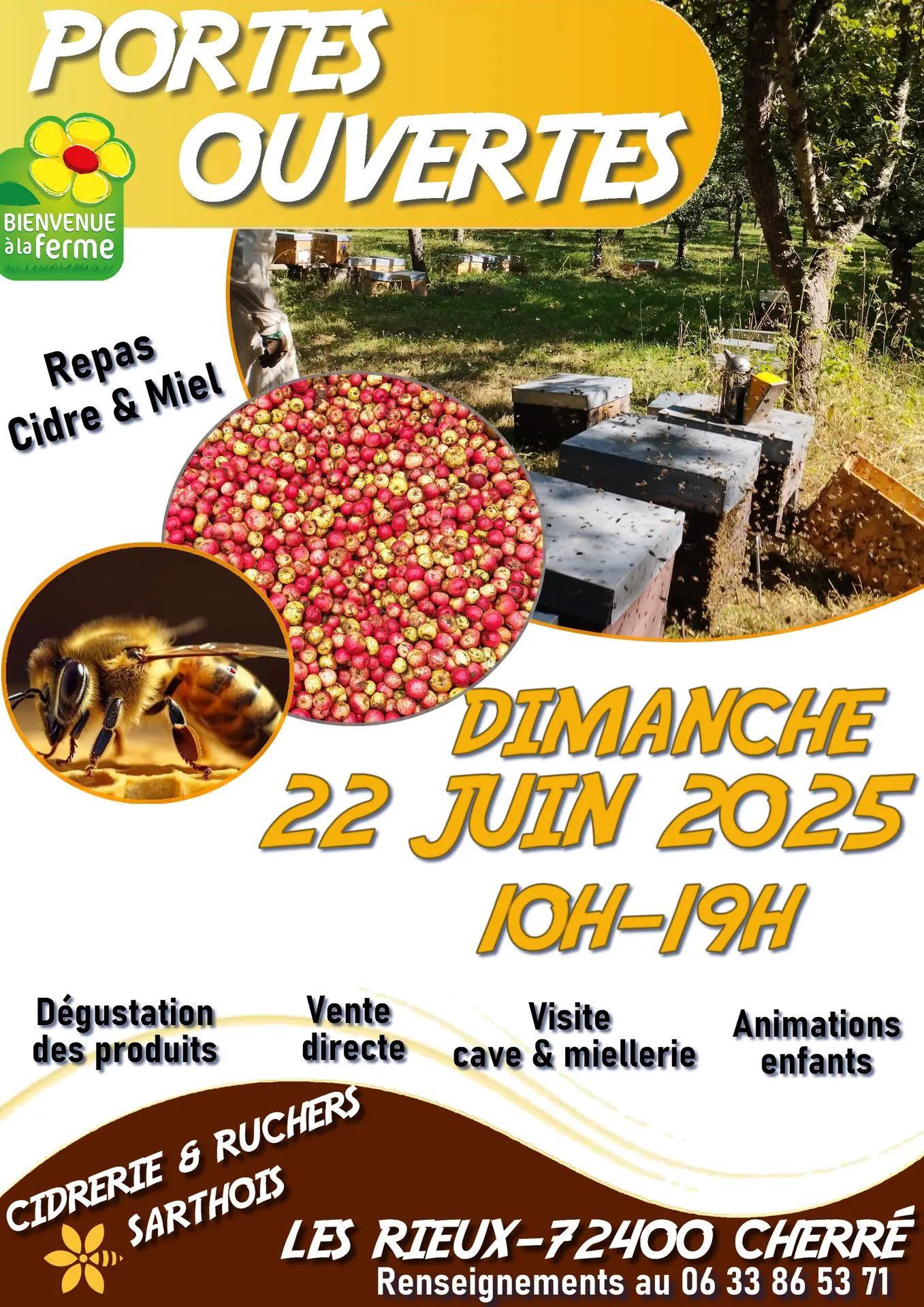 affiche jpo 2025555