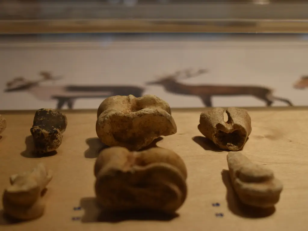 Visite archéologie et climat