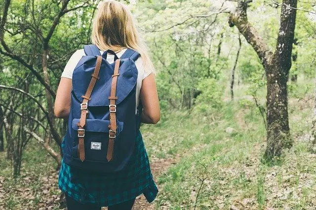 backpack-gbc4f513ce_640