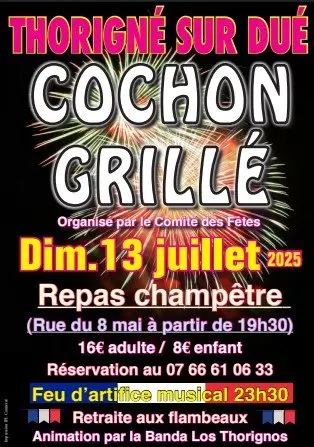 c947f191f78c96f9afc8db418495a03_cochon-gri