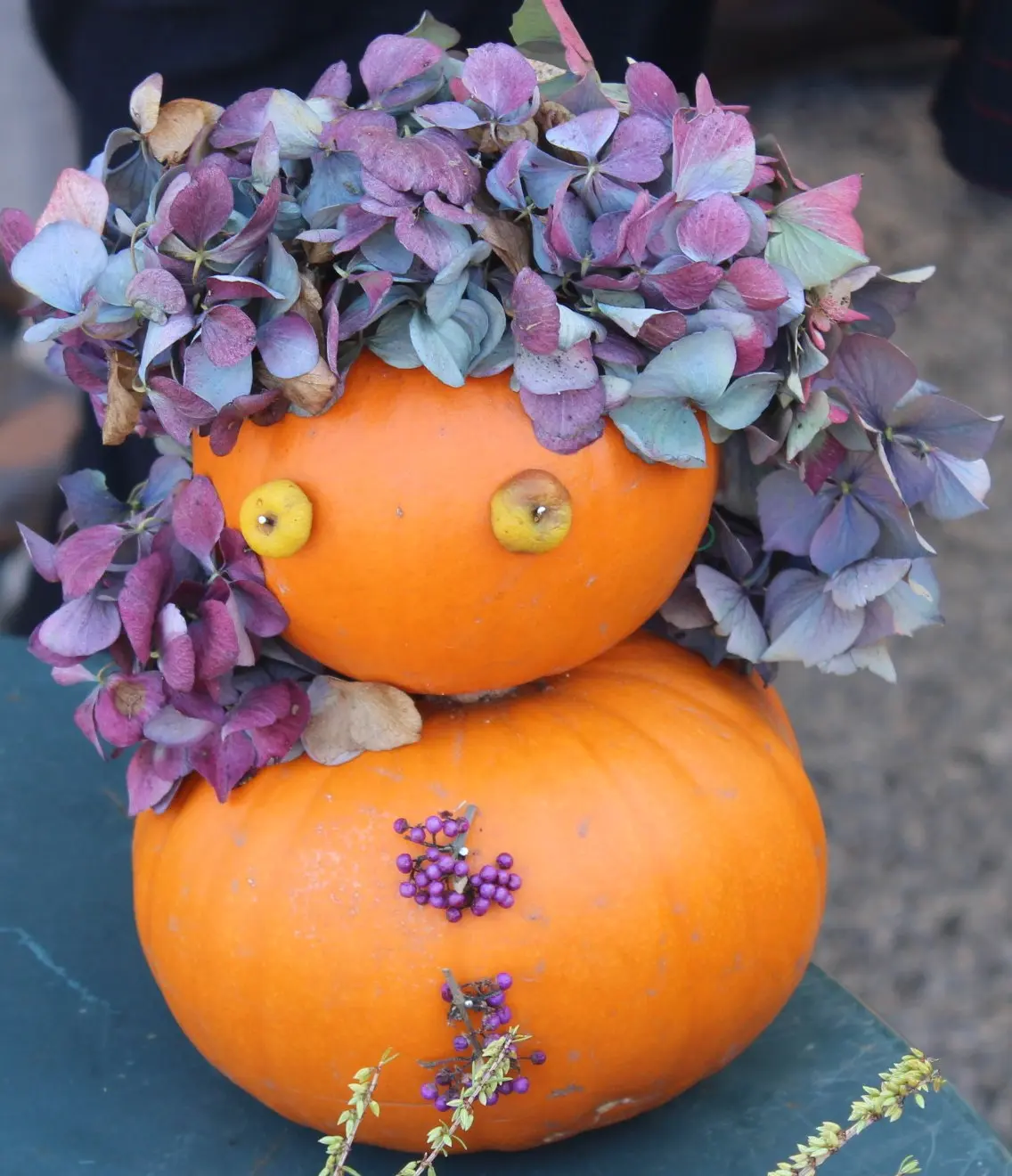 citrouilles jardins des renaudies colombiers du plessis 53