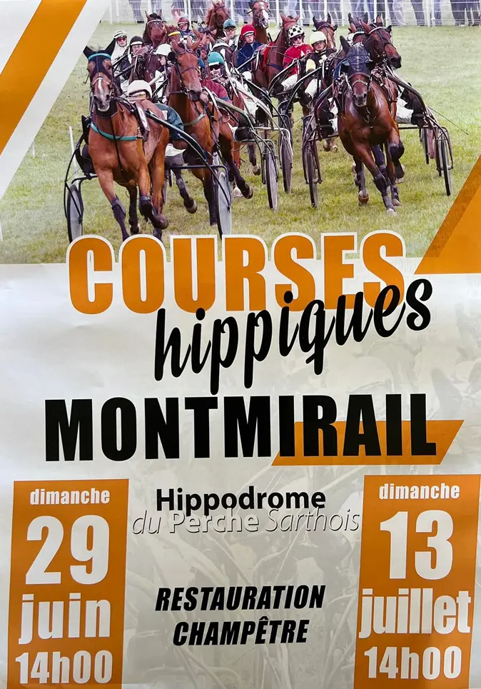 courses hippiques