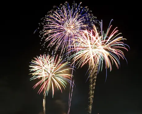 festivite-medium