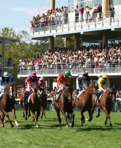 galop