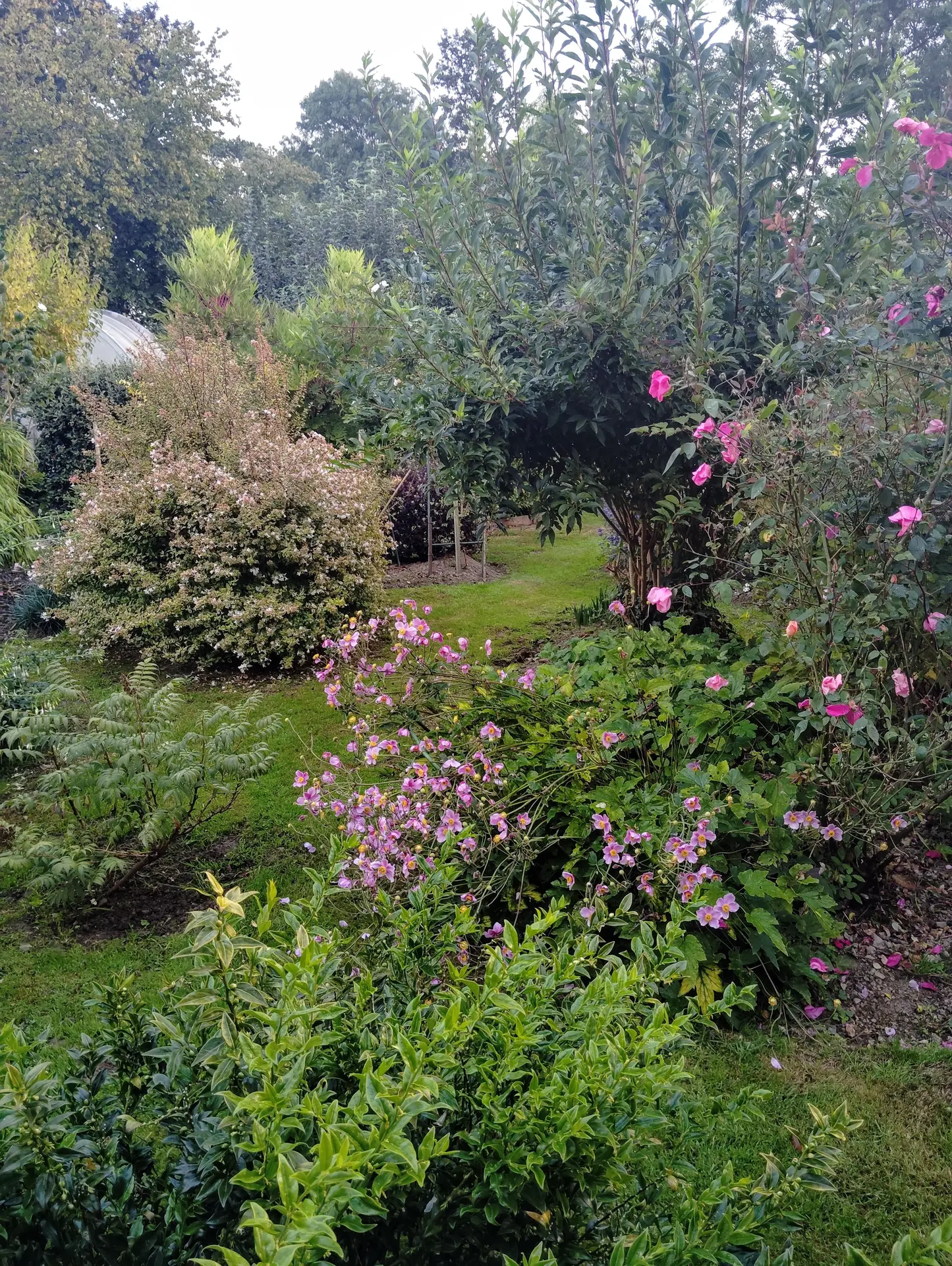 jardin La Croisie