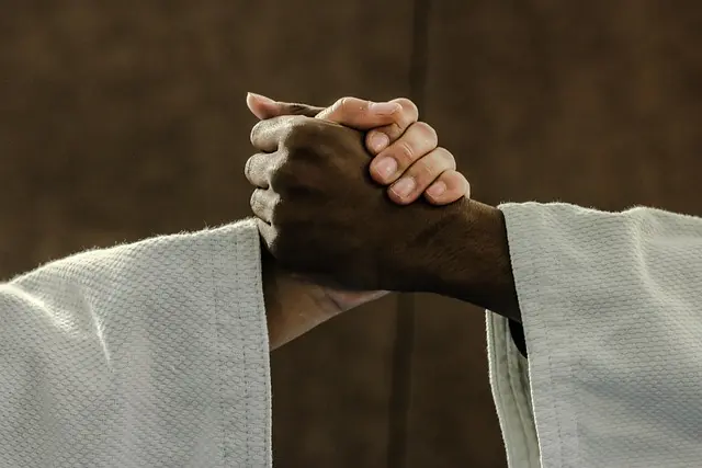 judo-2121640_640