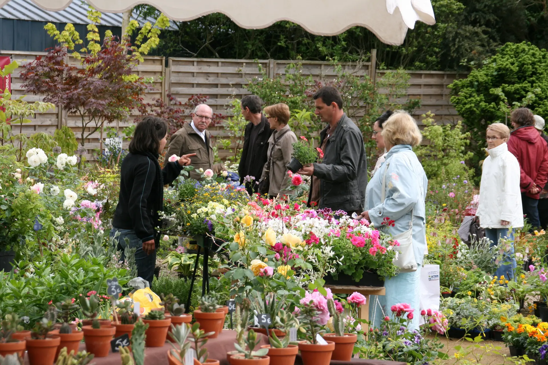 p15 Renaudies Marché Plantes 080511 (33)