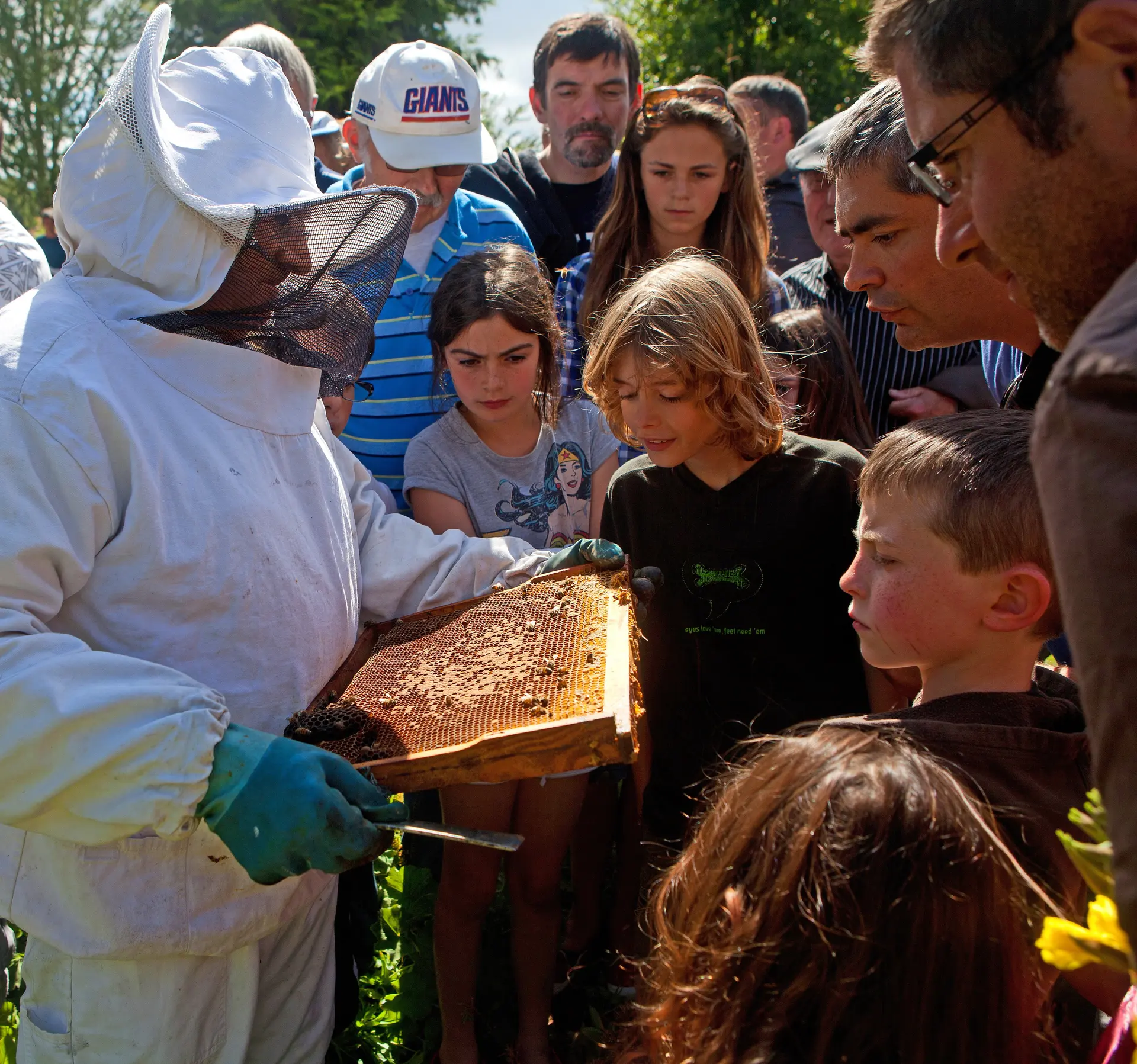 p15-fete-du-miel-bigot-abeilles- PGreboval-jardins-des-renaudies-53-colombiers-du-plessis-mayenne 1