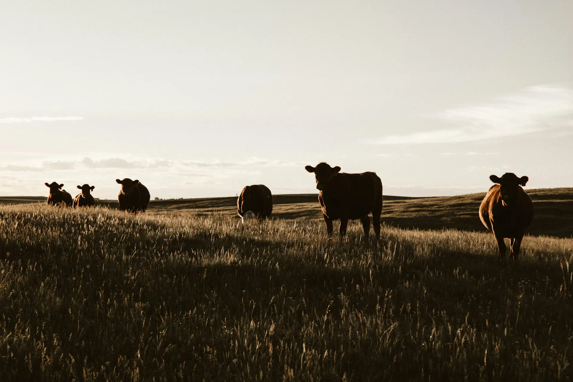Nature à la ferme avec le CPIE