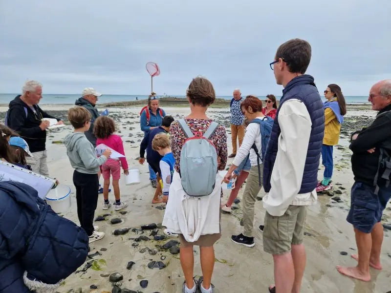 sortie nature - asso Avril
