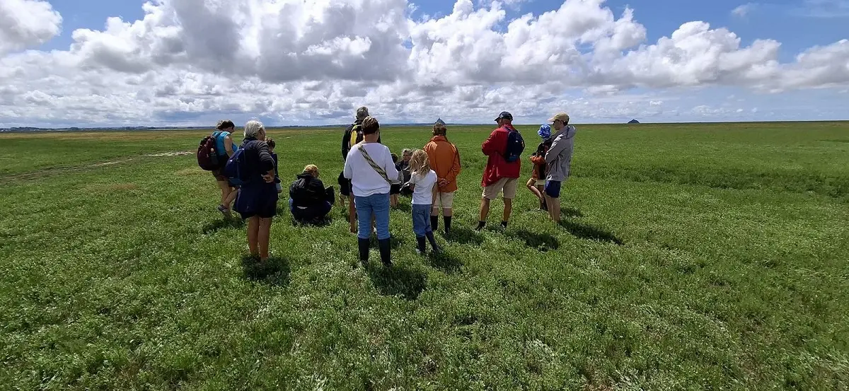 Vains_Sortie Salicorne et Compagnie VAINS