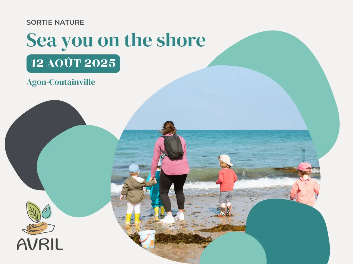 AVRIL_20250812_Sea you on the shore_agon-coutainville
