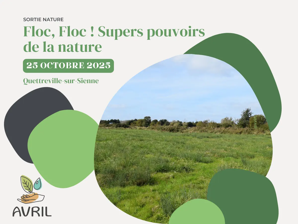AVRIL_20251025-Supers pouvoirs de la nature_quettreville