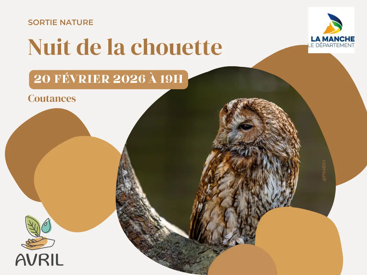 AVRIL_20260220_nuit de la chouette_coutances