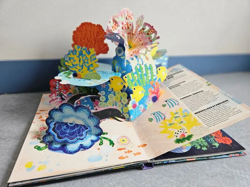 2026-Lecture de Pop up