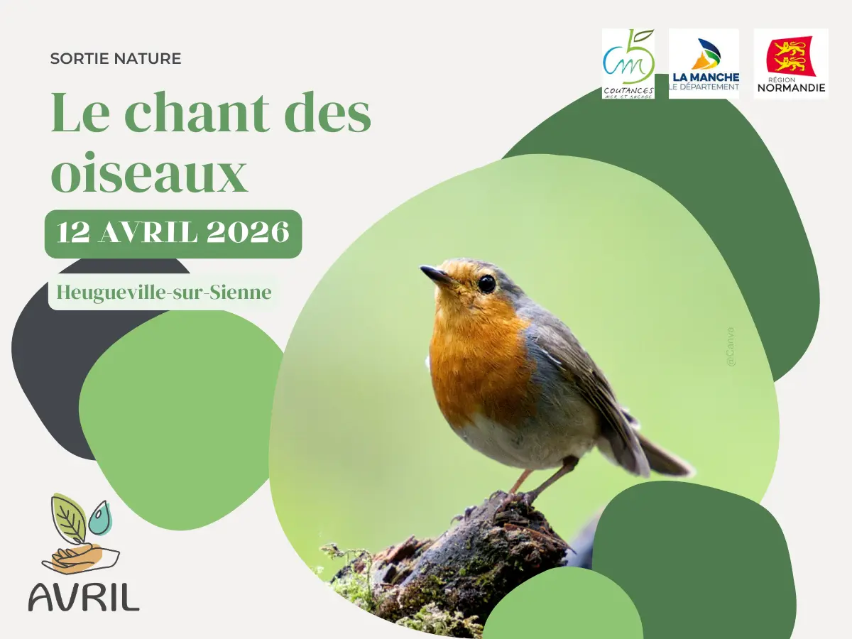 AVRIL_20260412_chant des oiseaux_heugueville-sur-sienne